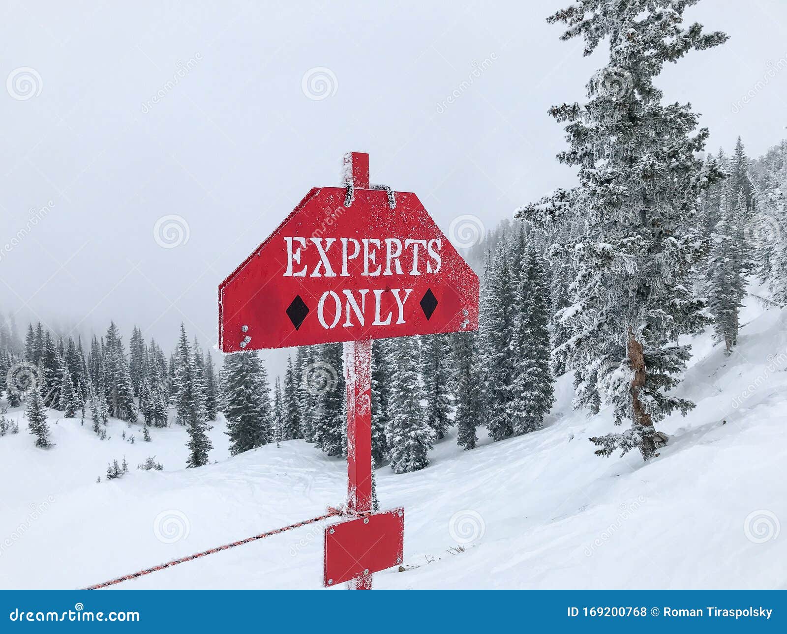 experts only, black diamond