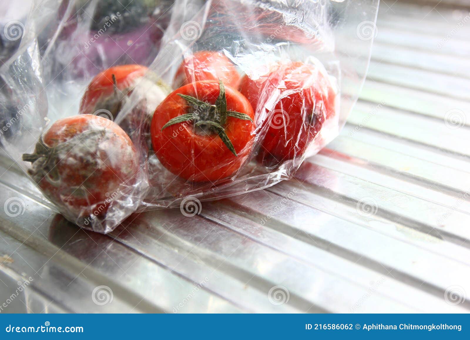 Expire Red Tomato in Plastic Bag Stock Photo Image of nature, dish