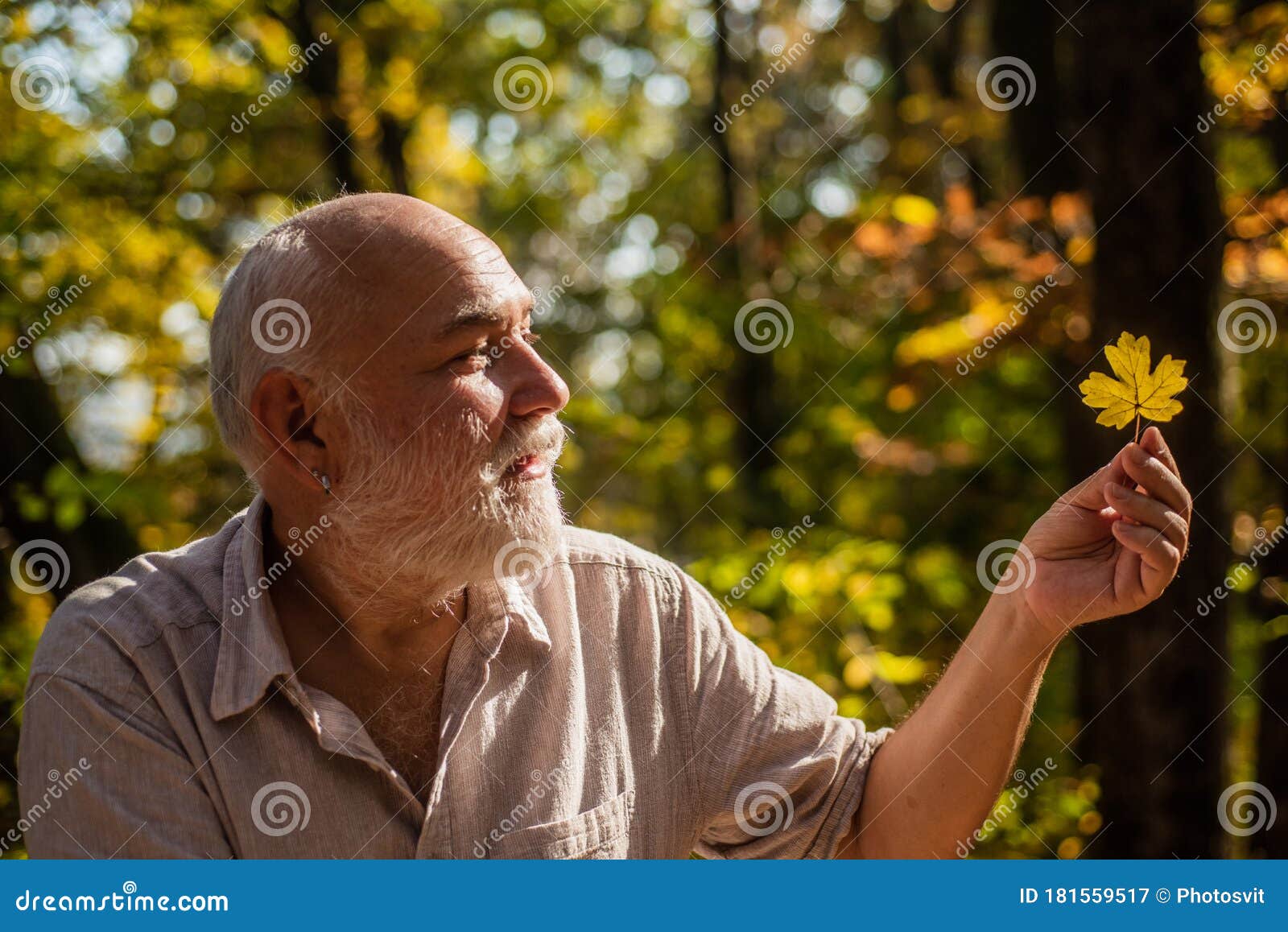 explore world around. pensioner hiking in forest on sunny autumn day. man enjoy autumn nature. old man collect leaves