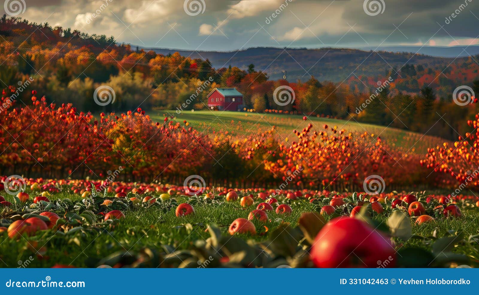 exploring the delight of autumn in apple orchards discovering the favorite fruit season