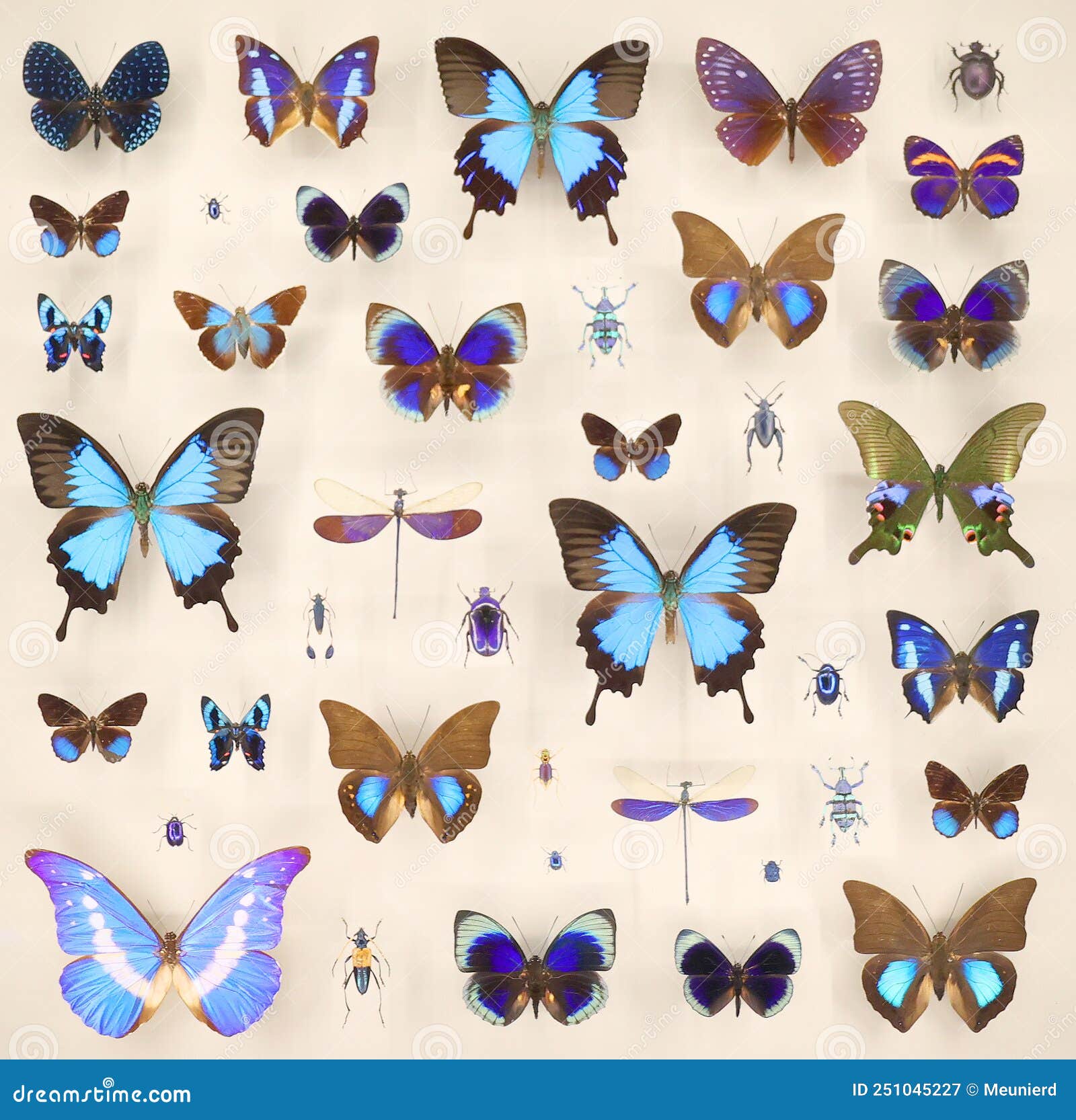 My Image 21