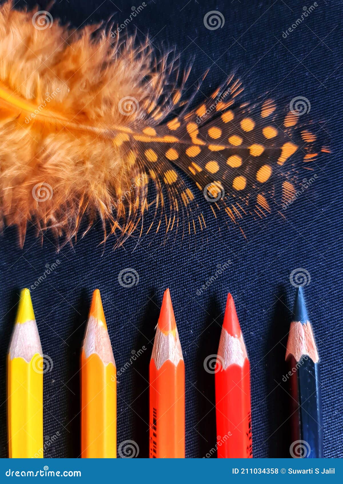 Expression of the Origin of the Orange Color in Feathers Stock Photo
