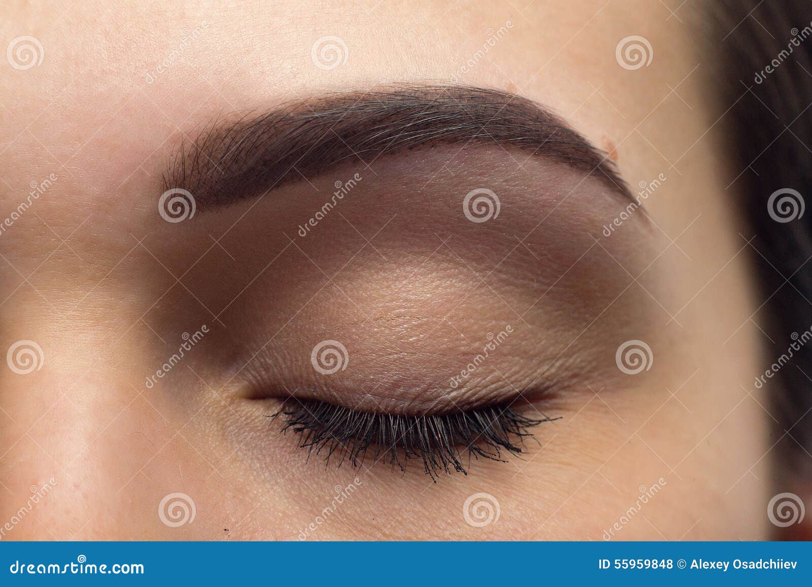 expressive significant eye perfect  of eyebrow