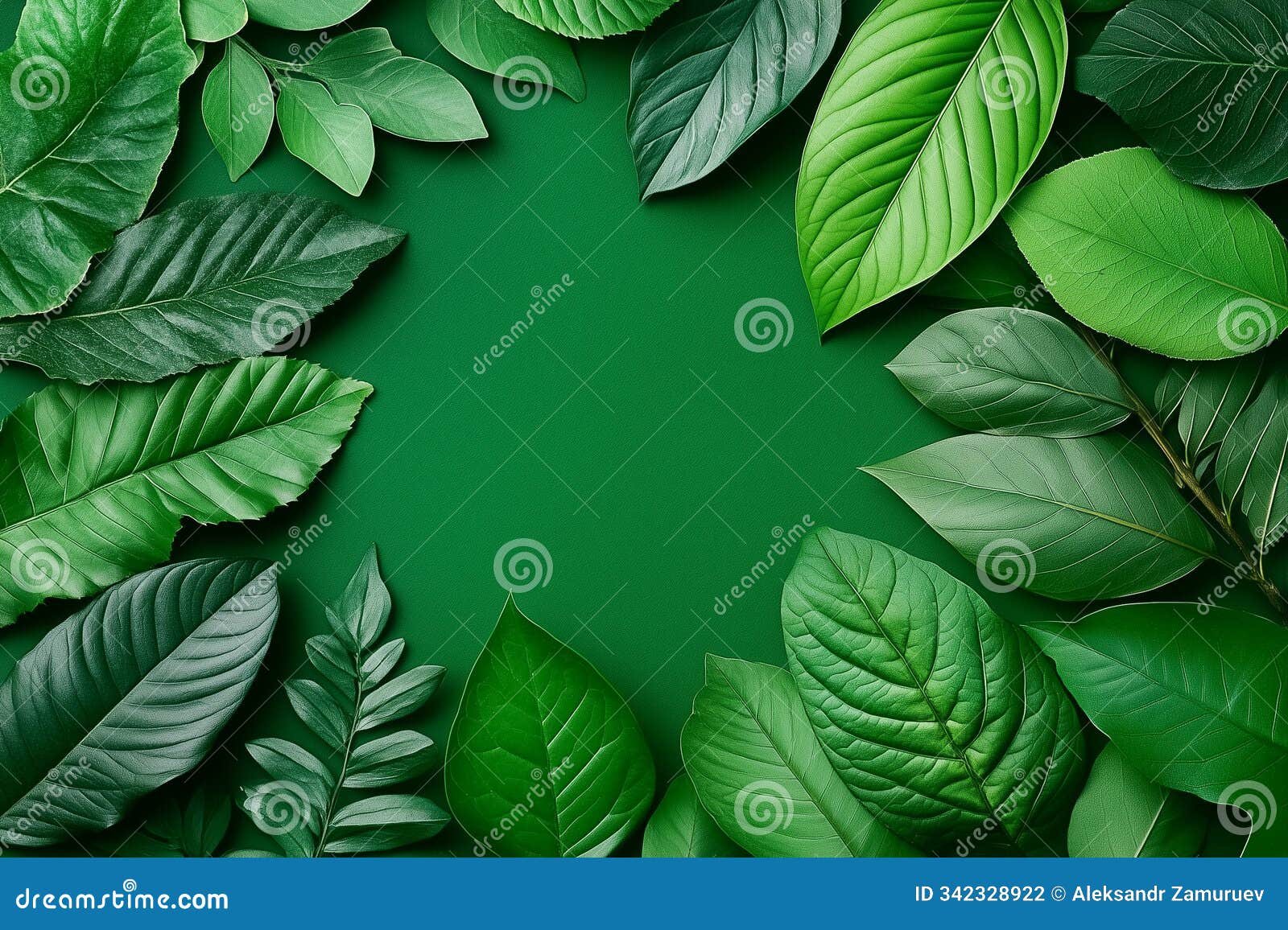 an exquisite array of various leaves showcases rich colors and textures against a verdant backdrop