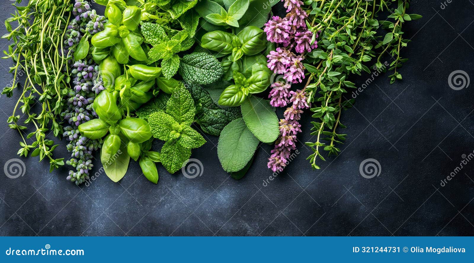 an exquisite display of fresh herbs arranged attractively on a dark slate background