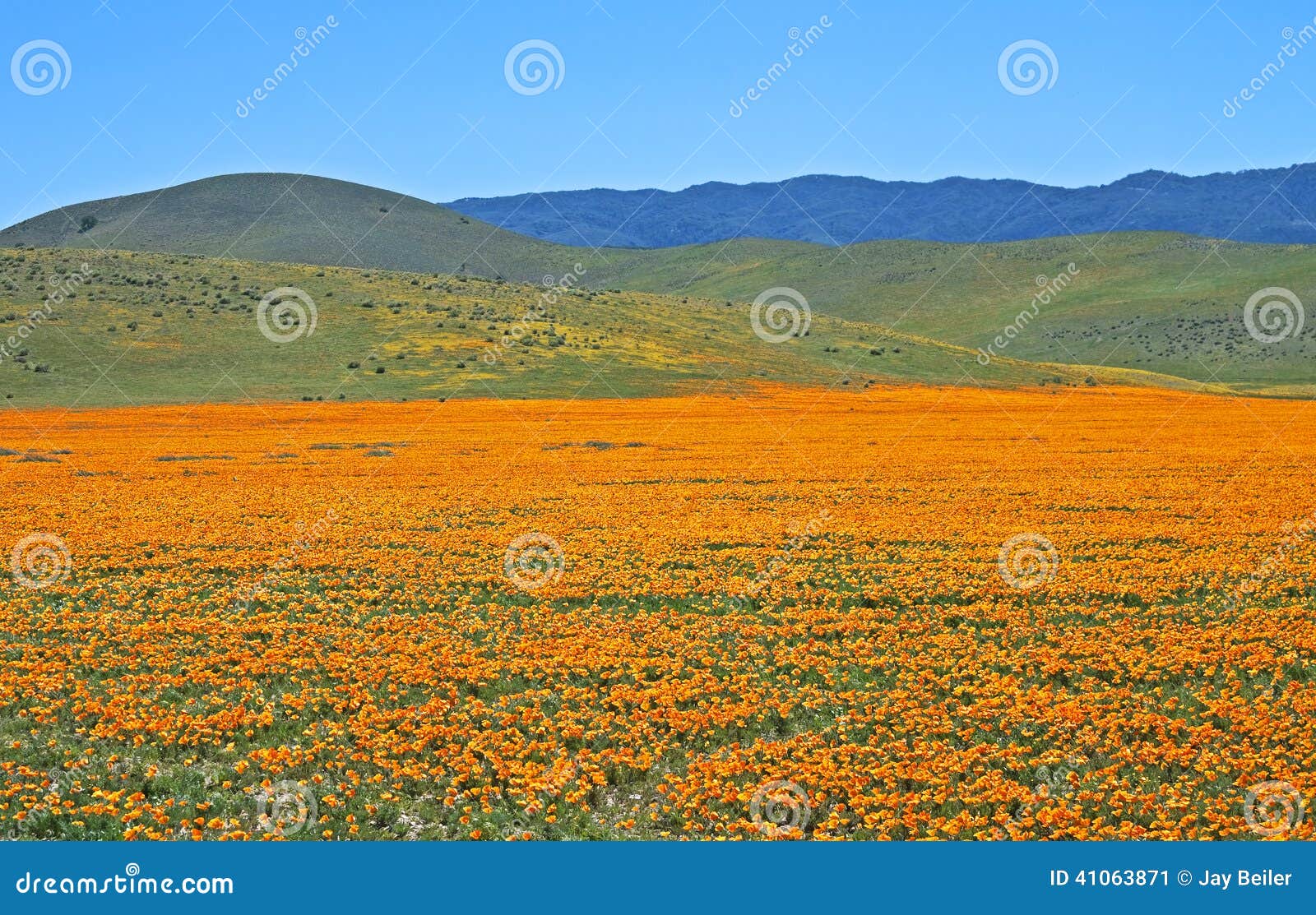 exquisite hills, california