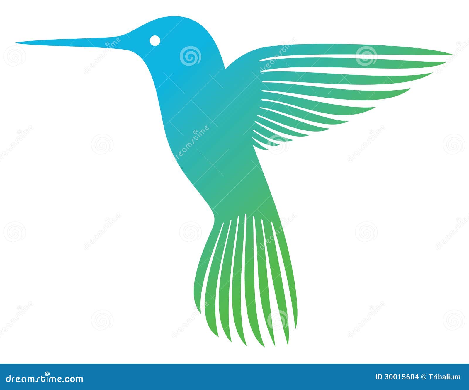 Colibrí ilustración del vector. Ilustración de belleza - 30015604 Colibrí ilustración del vector. Ilustración de belleza - 30015604