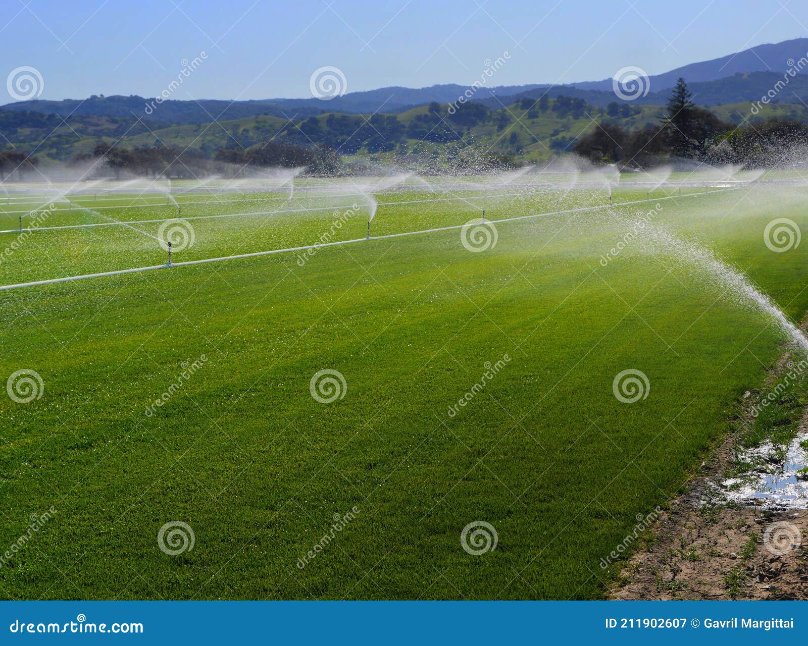 extensive irrigation on a green field