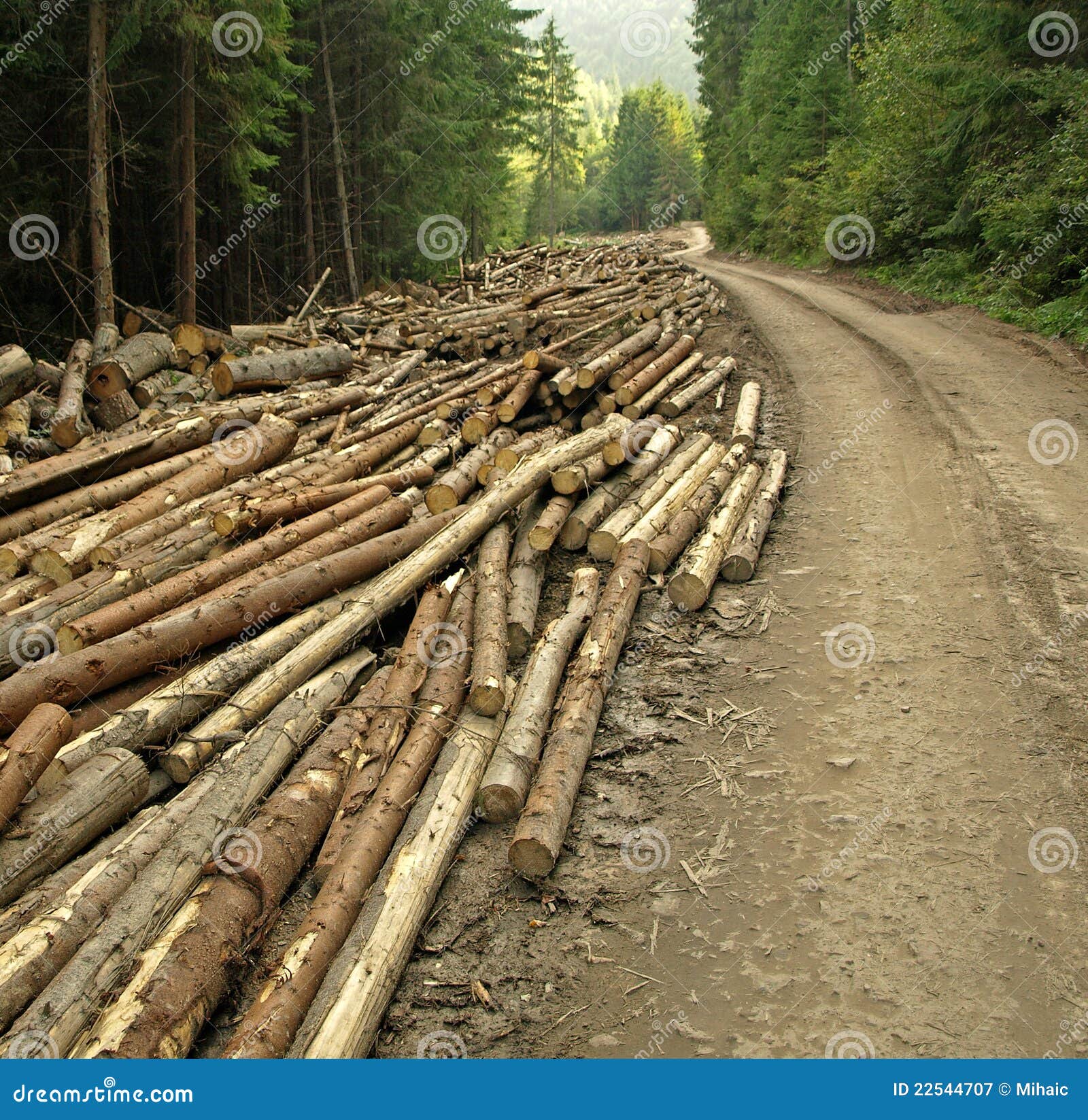 extensive logging