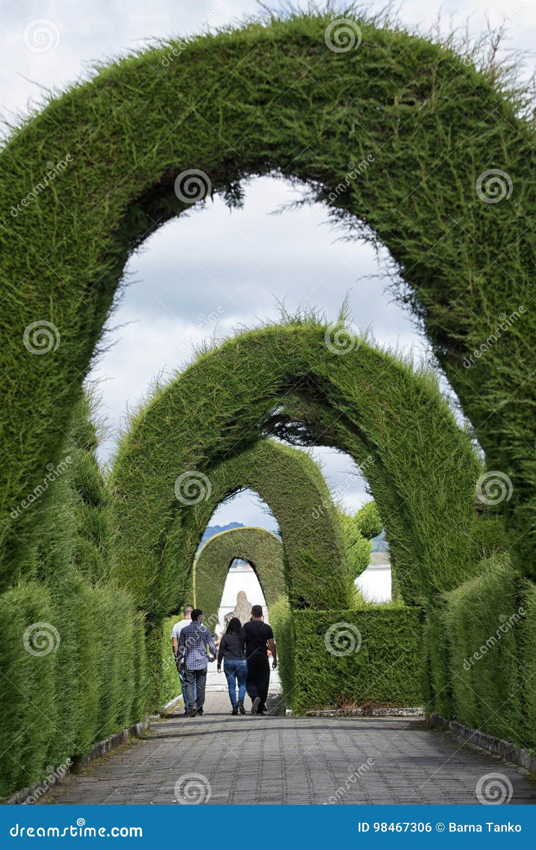 The Extensive Topiary of the Local Editorial Photo - Image of plant ...