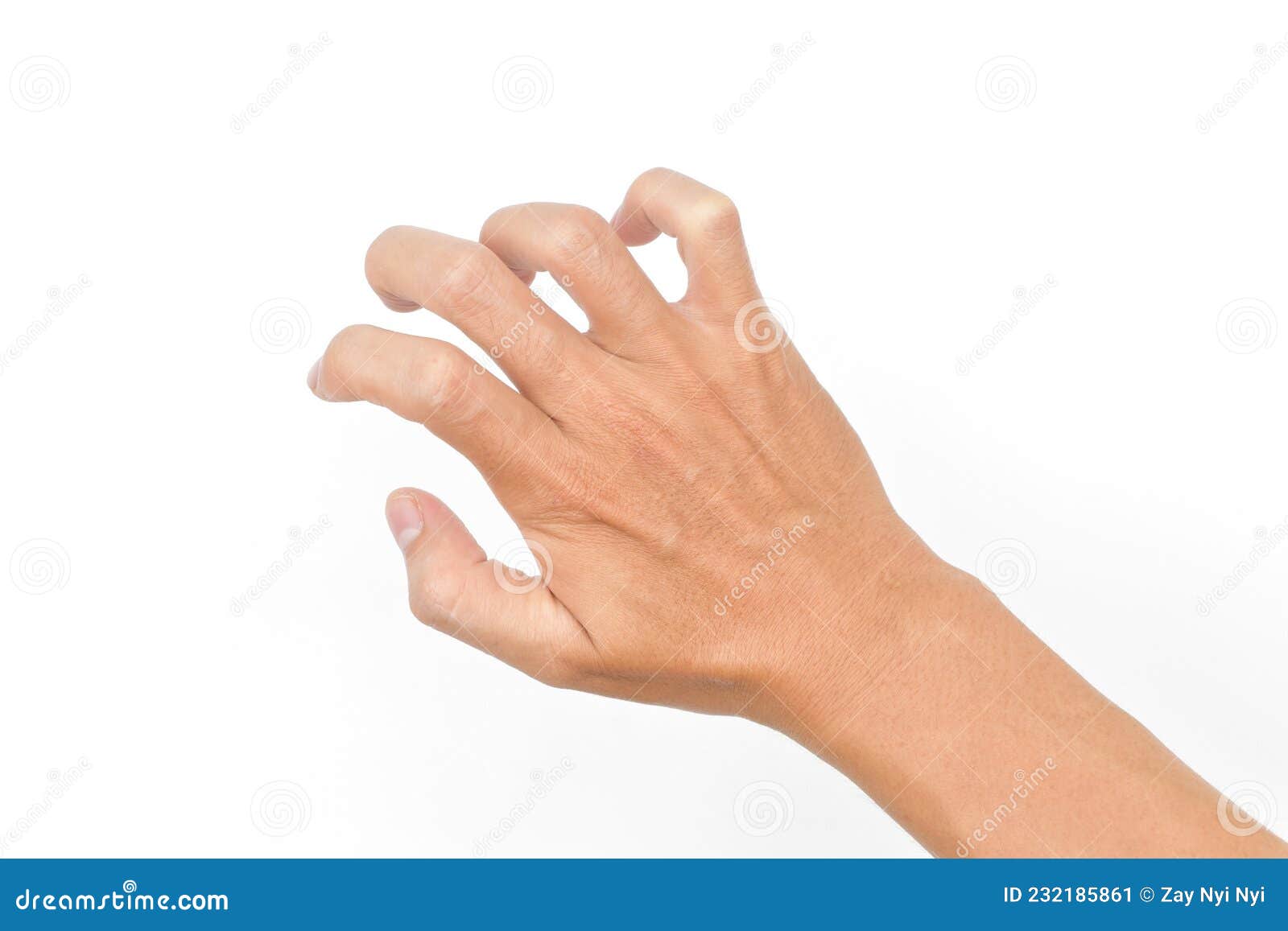 247 Extensor Tendon Stock Photos - Free & Royalty-Free Stock ...