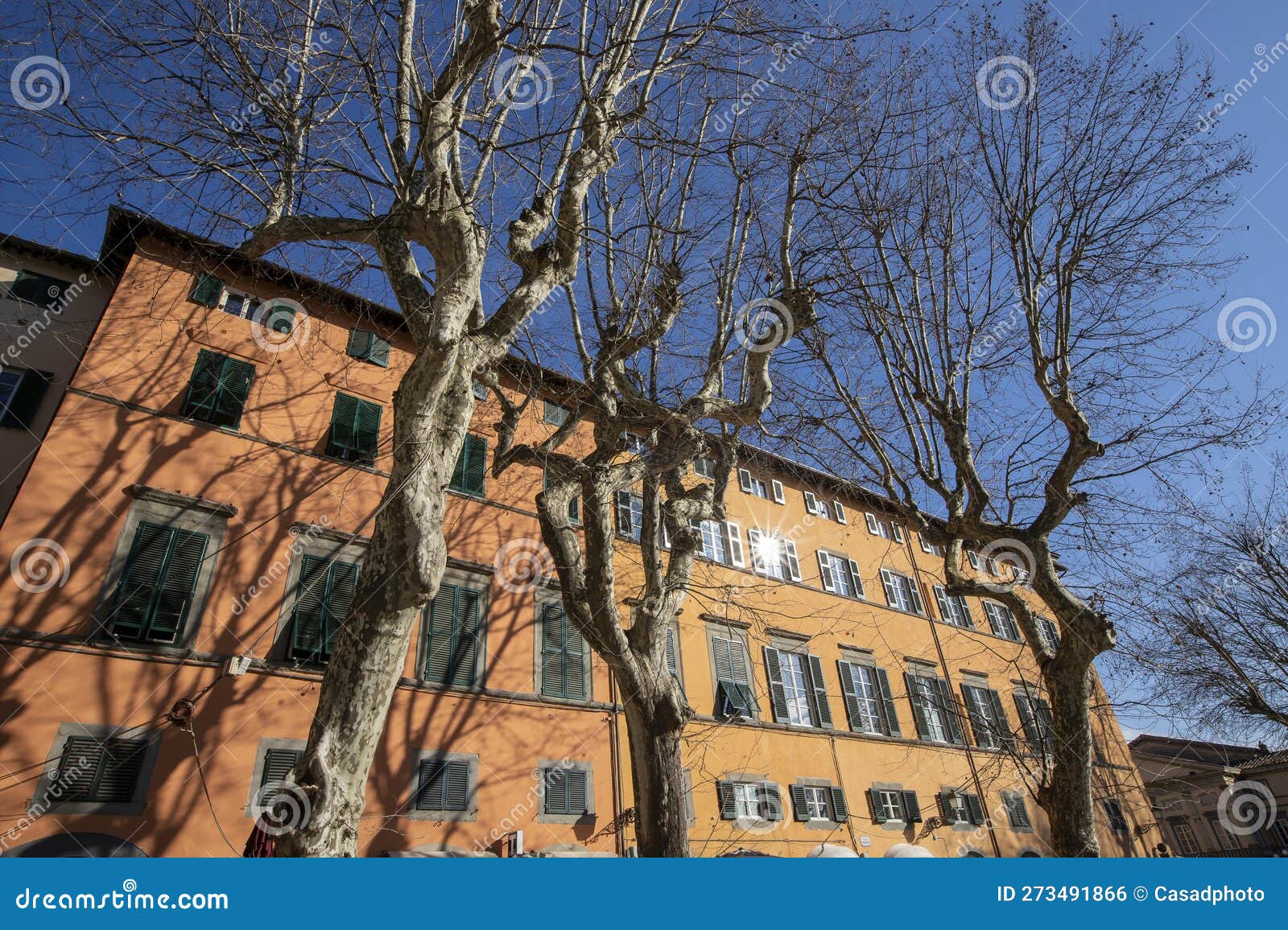 exterior of typical italian buildings in on piazza napoleone. lucca, tuscany, italy