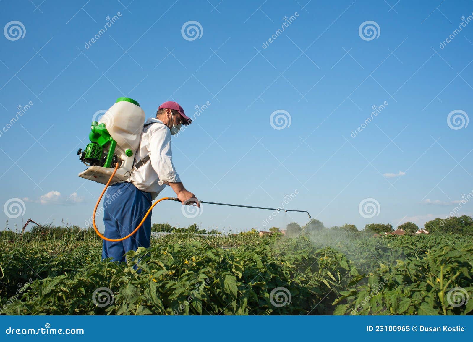 Exterminator stock image. Image of nature, leaf, crop 23100965