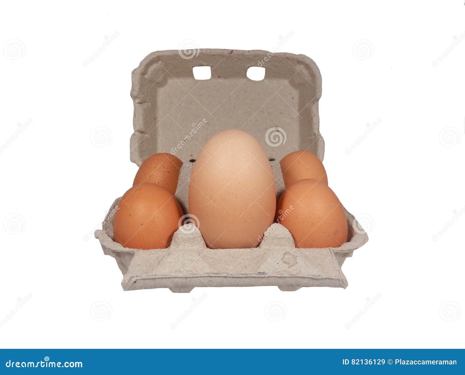 Extra large chicken egg stock image. Image of poultry 82136129