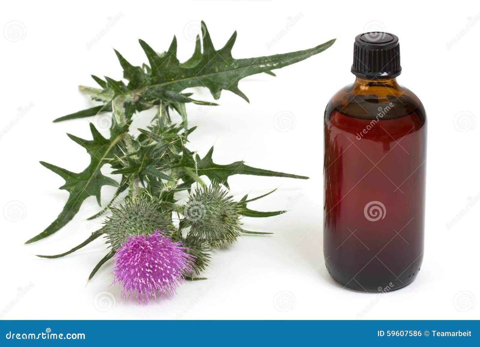Extract of milk thistle stock photo. Image of tincture 59607586