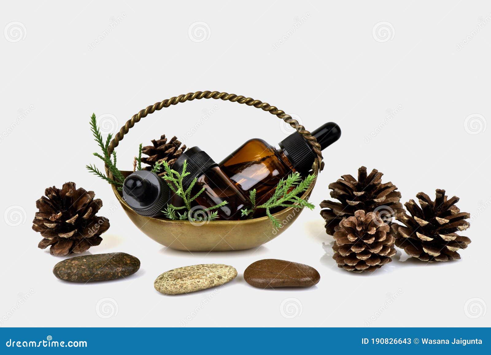 Extract and Pine Essential Oil Placed on a White Background. Stock