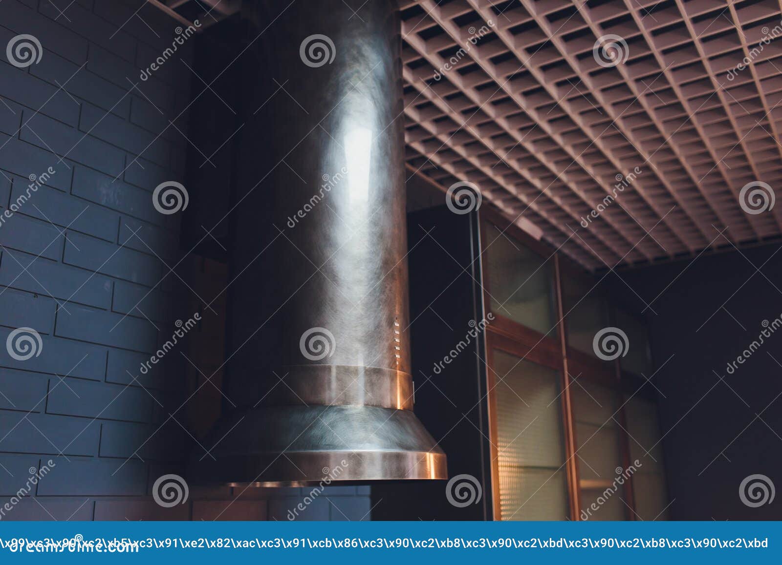 Extraction Hood Supply Air Return Kitchen Ventilation Systems. Stock