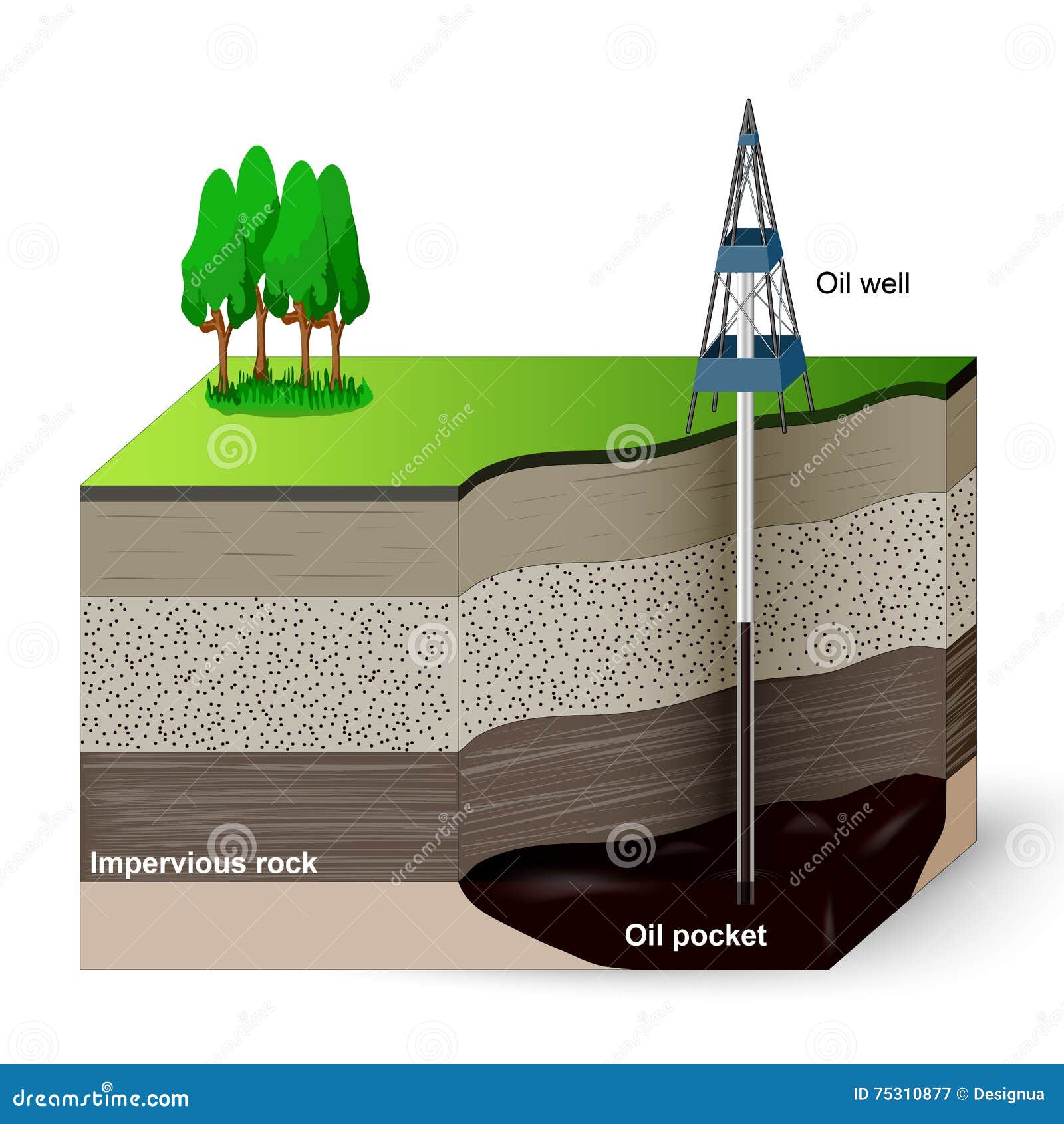 extraction of petroleum