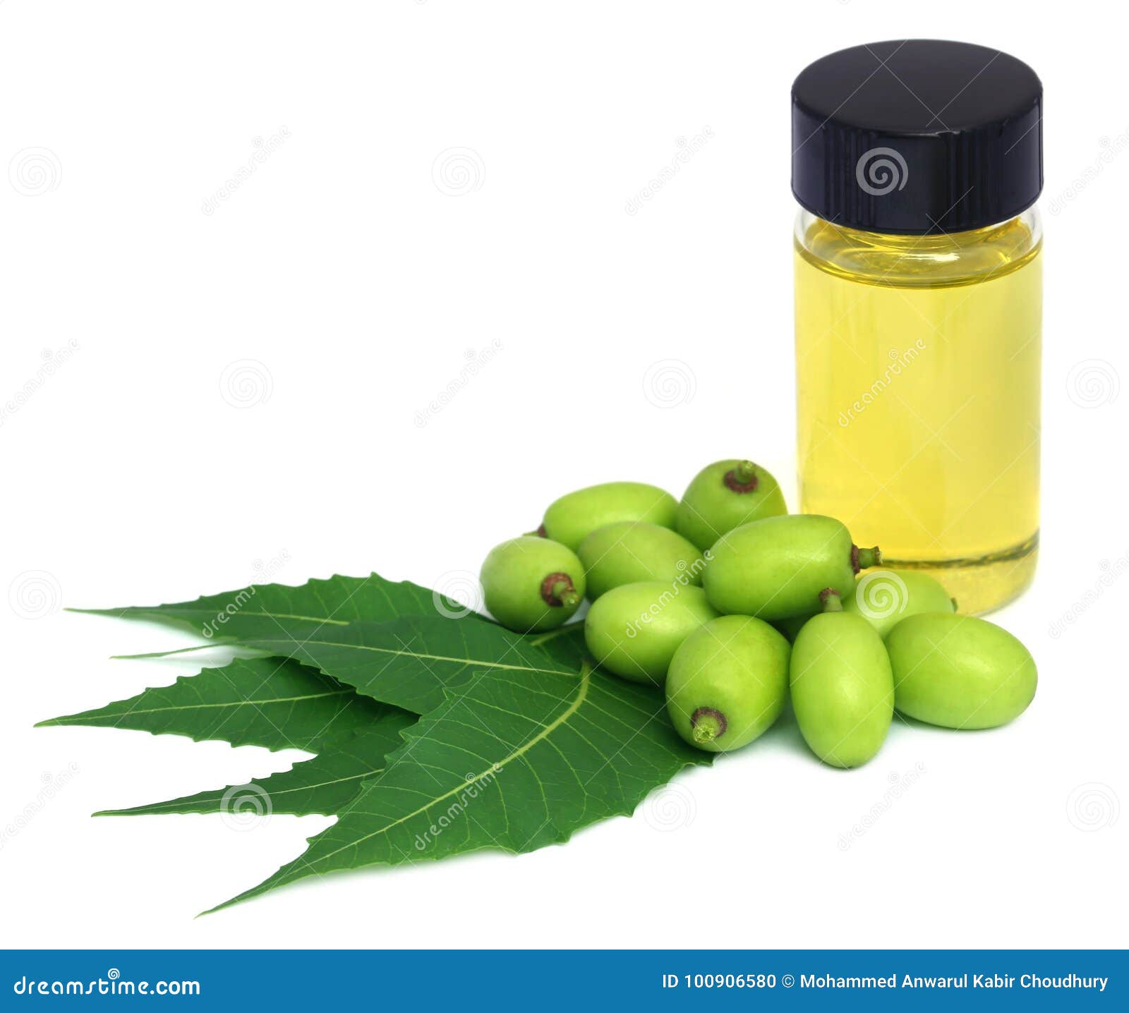 Extracto medicinal del neem con las frutas y las hojas sobre el fondo blanco