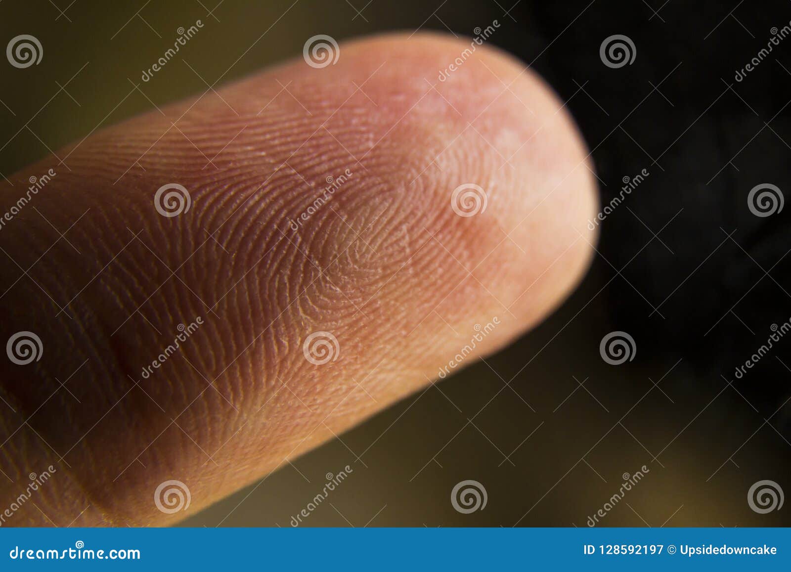 an extreme macro closeup of a fingertip