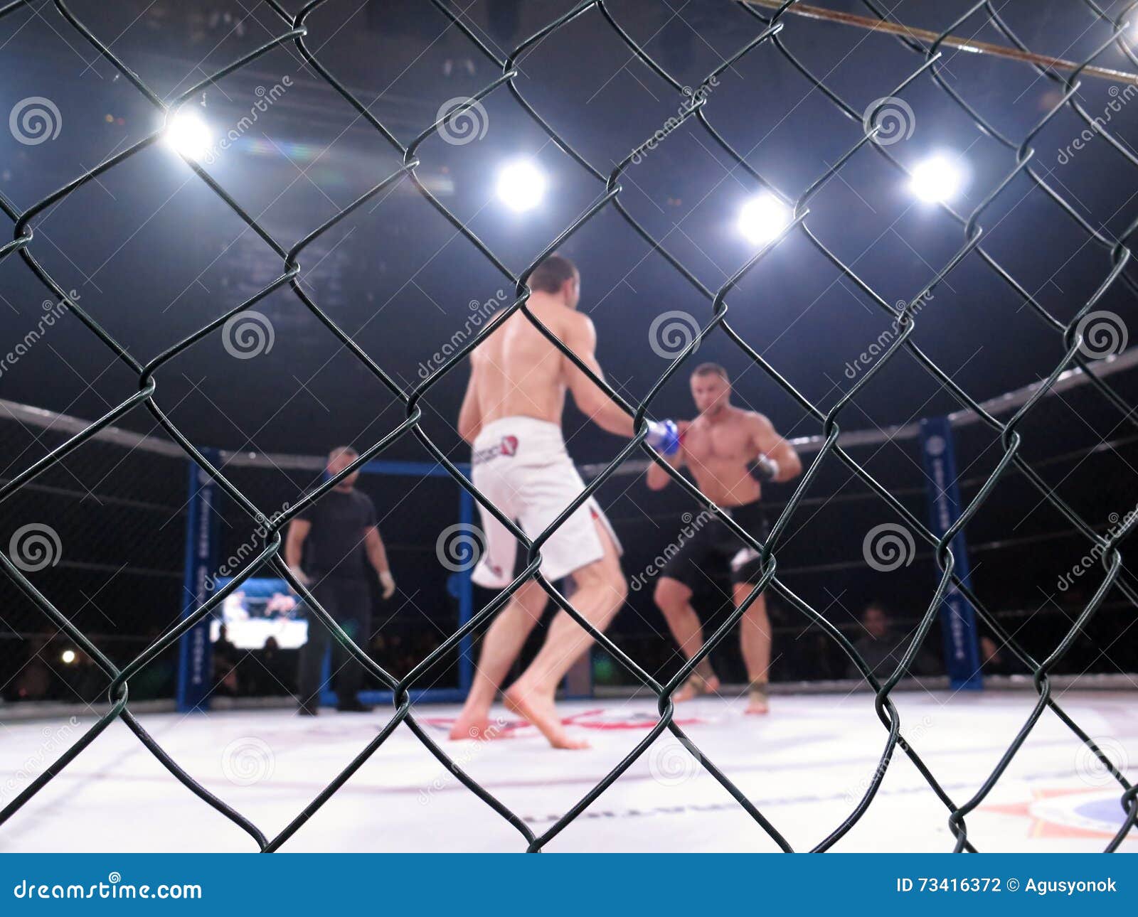 Extreme Sport Mixed Martial Arts Competition Tournament Mma Maxmix Octagonal Ring Fights Odessa Ukraine November Athletes 73416372 