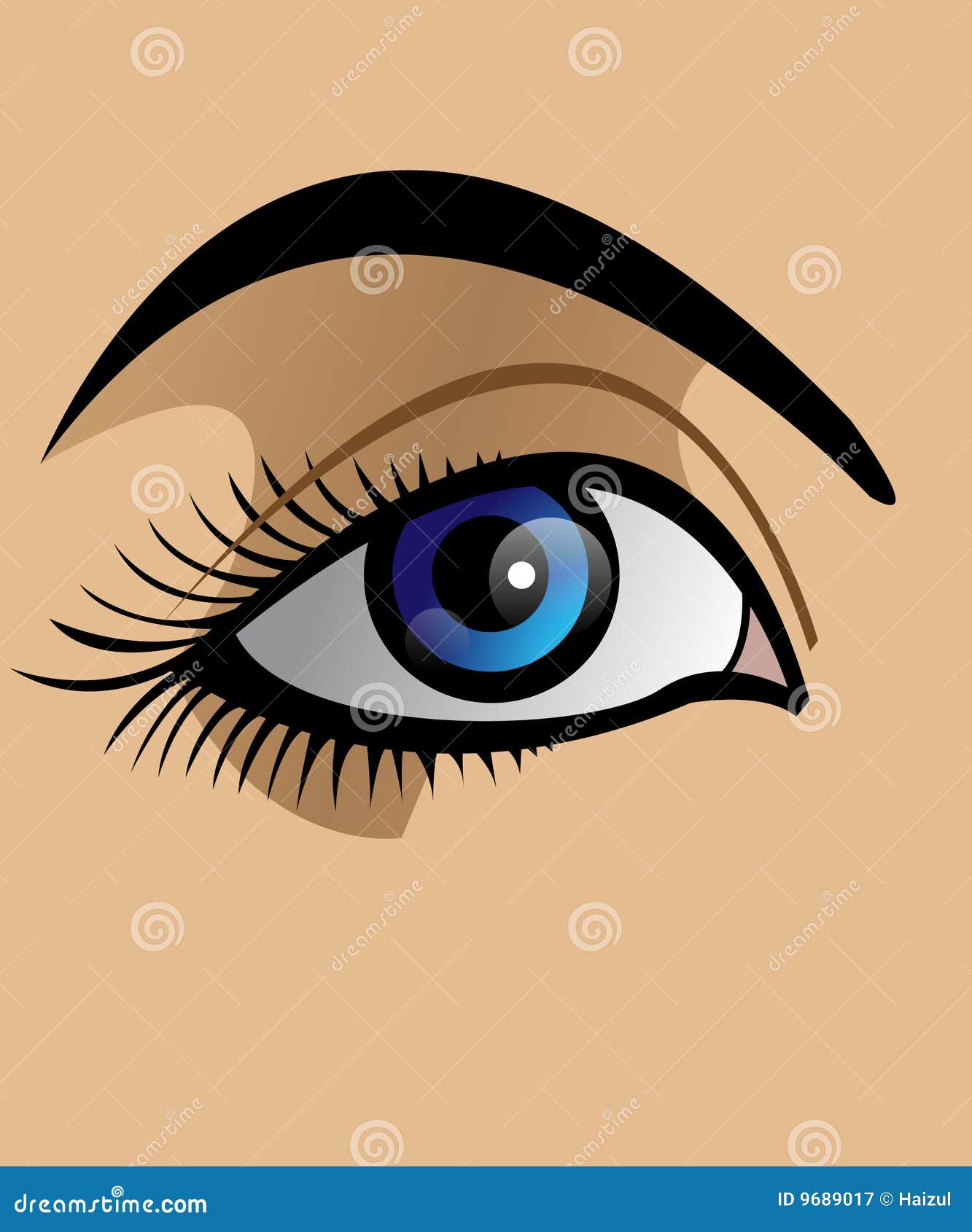 Eye stock vector. Illustration of iris, woman, view, blue - 9689017
