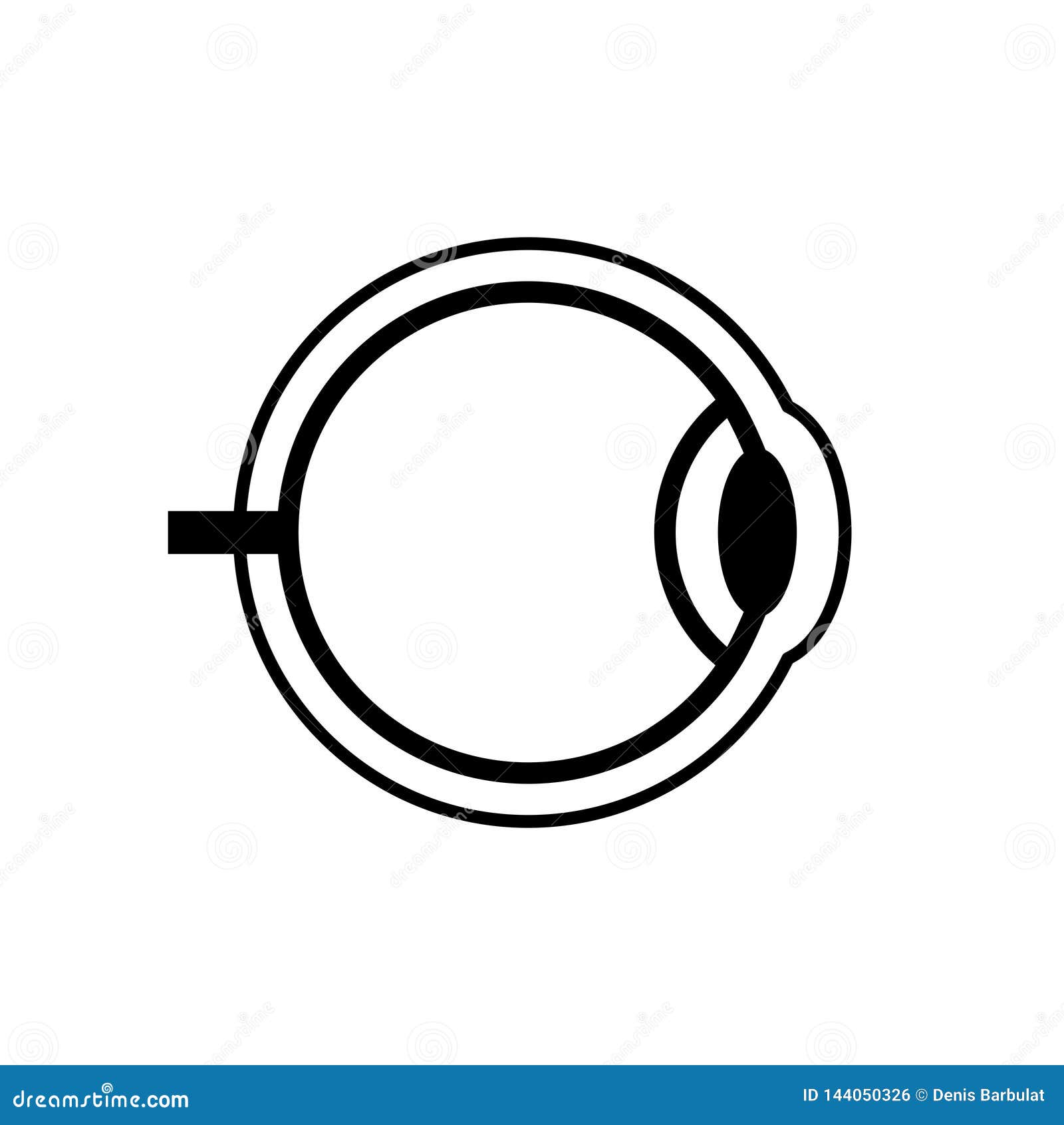 Eye anatomy diagram stock vector Illustration of medicine Biology Diagrams