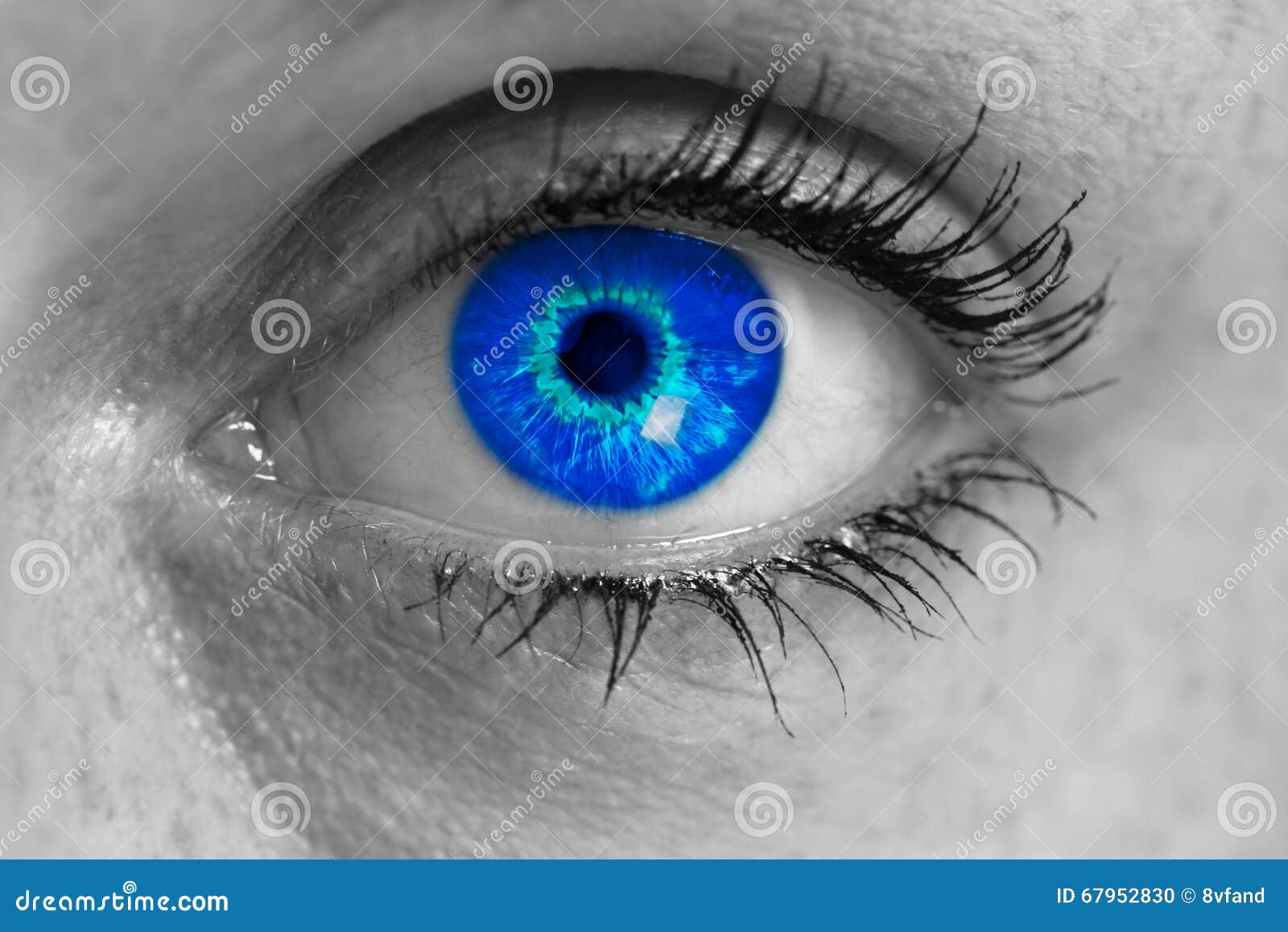 Eye with Blue Iris Looks at Viewer Concept Macro Stock Photo Image of