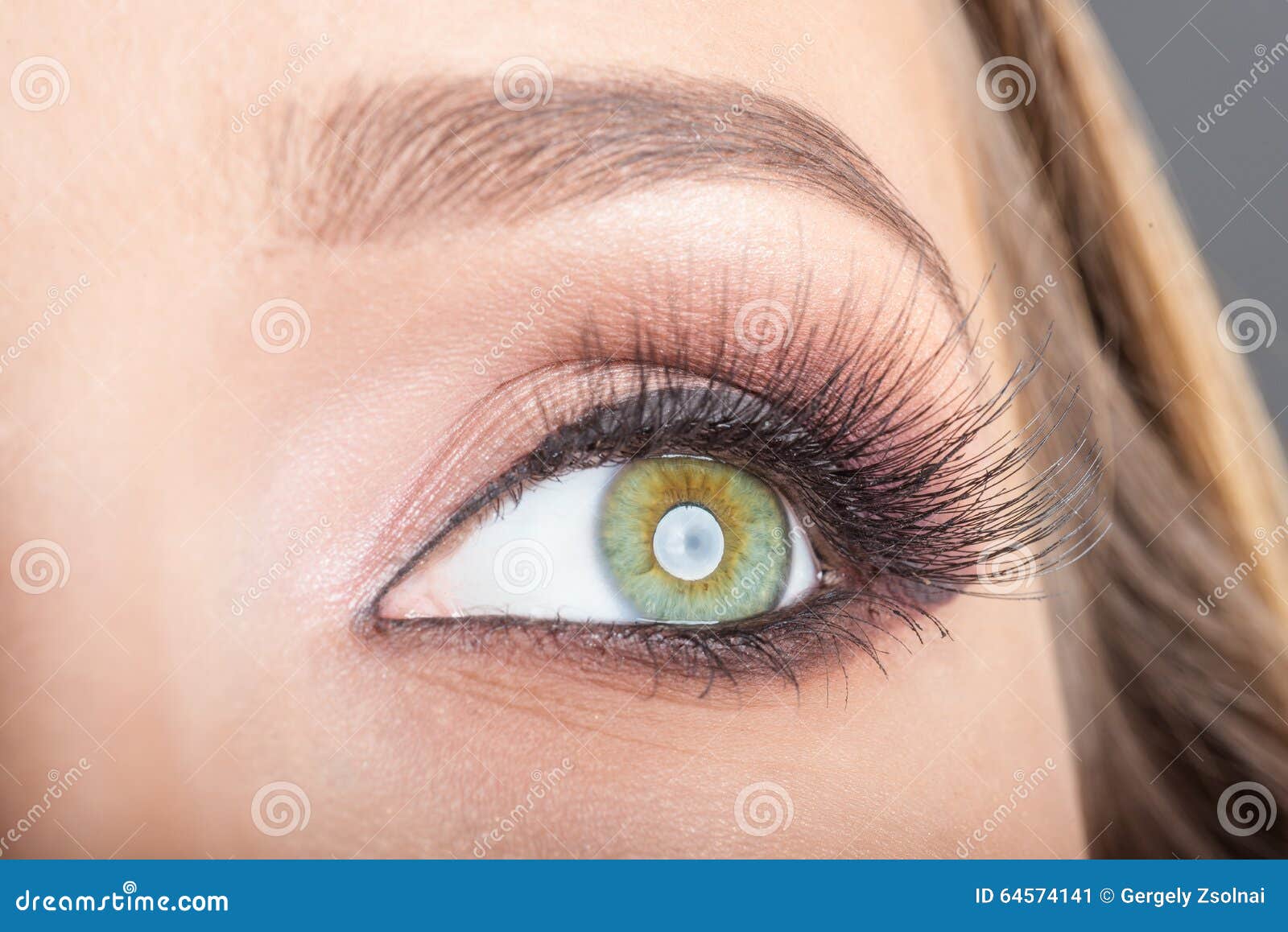 Eye close up makeup stock image. Image of bright, brown 64574141