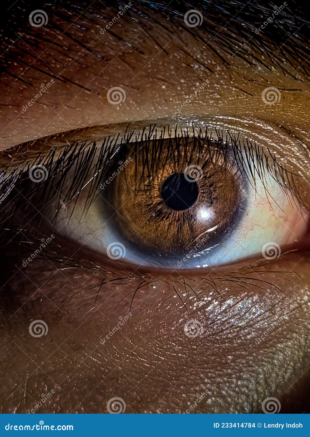 Eye Closeup macro zoom stock photo. Image of purple - 233414784