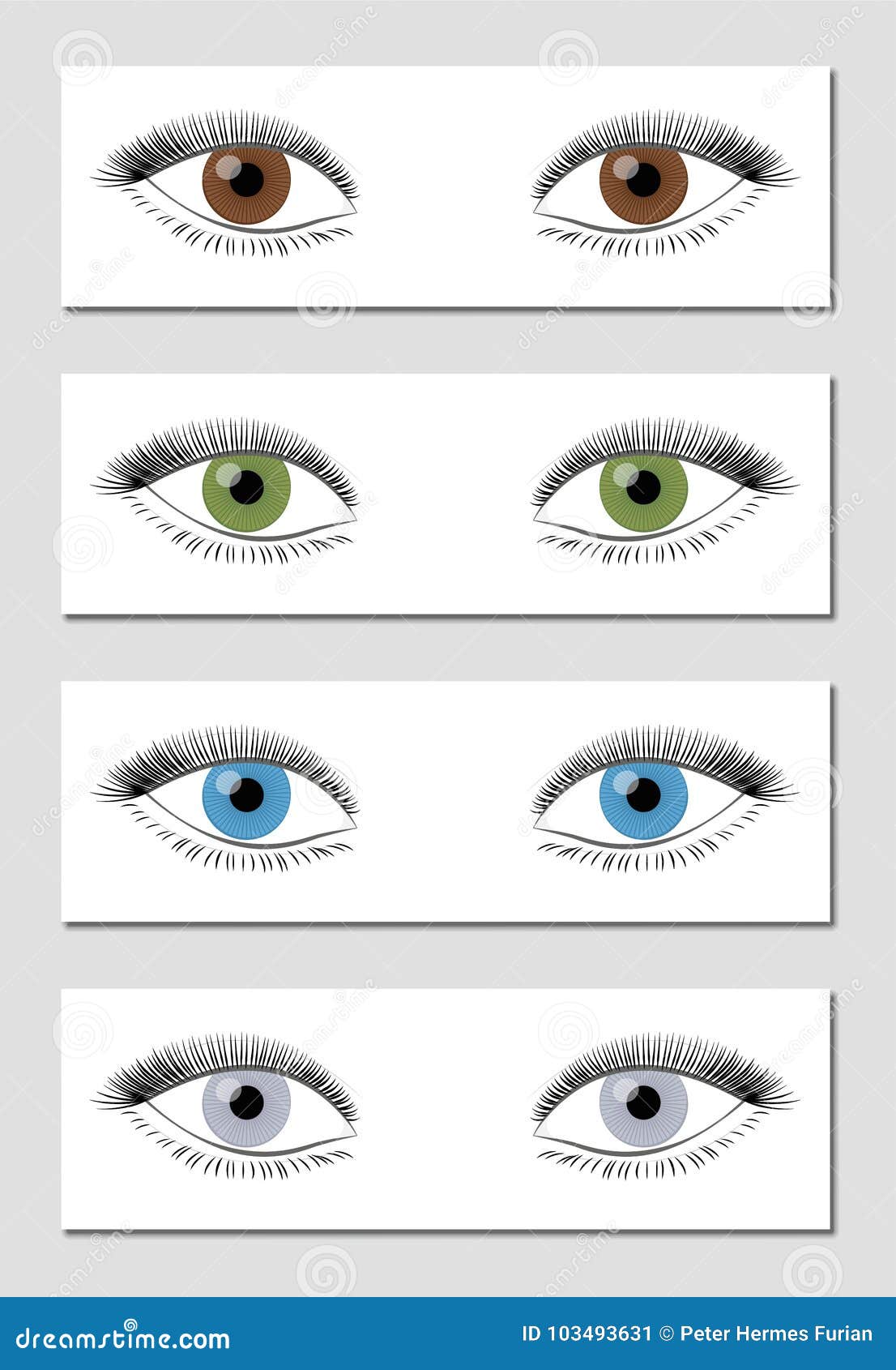 Eye Color Chart