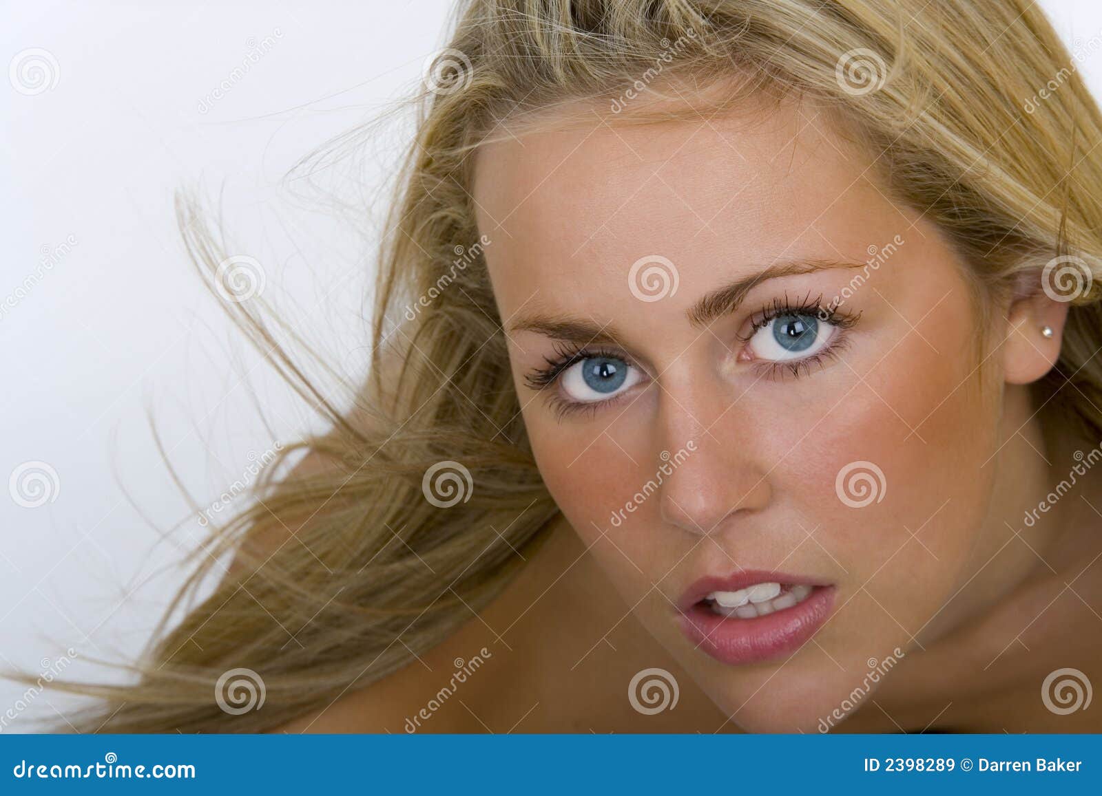 Eye Contact stock image. Image of blonde, gorgeous, studio - 2398289