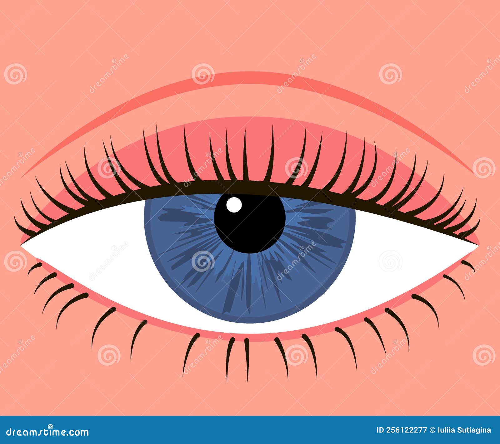 eye with down lid. blepharoplasty, eyelid surgery. correction aesthetic view of eye.  