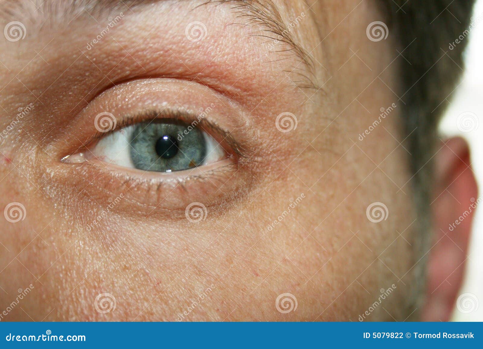 Eye And Ear Picture. Image 5079822