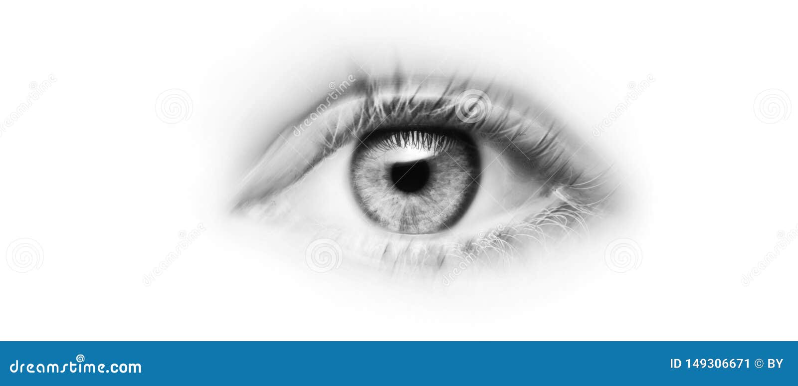 Eye with grey iris stock image. Image of close, macro 149306671