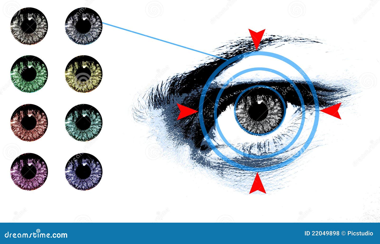 Eye Lens Chart