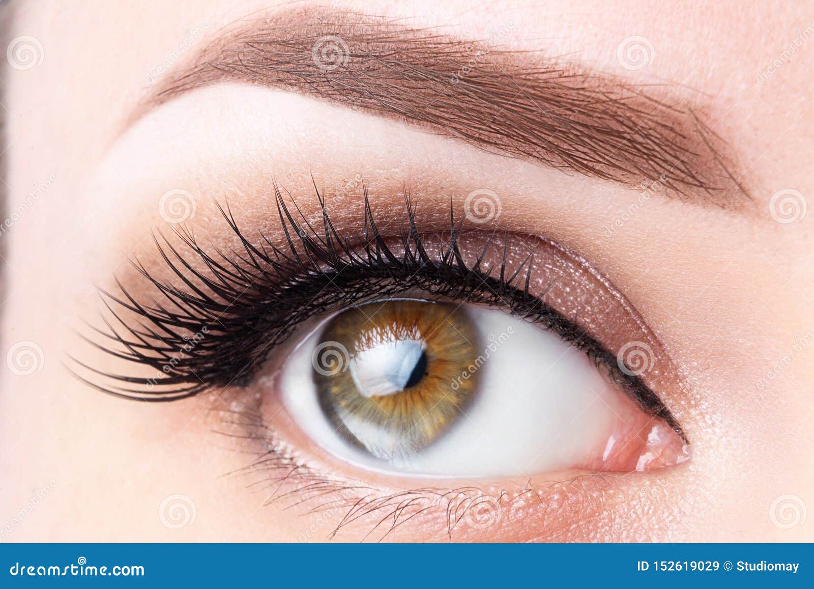 4 582 Eyebrow Tattoo Photos Free Royalty Free Stock Photos From Dreamstime