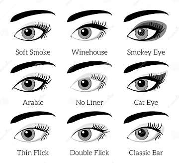 Eye Makeup Types. Vector Infographic Stock Vector - Illustration of ...