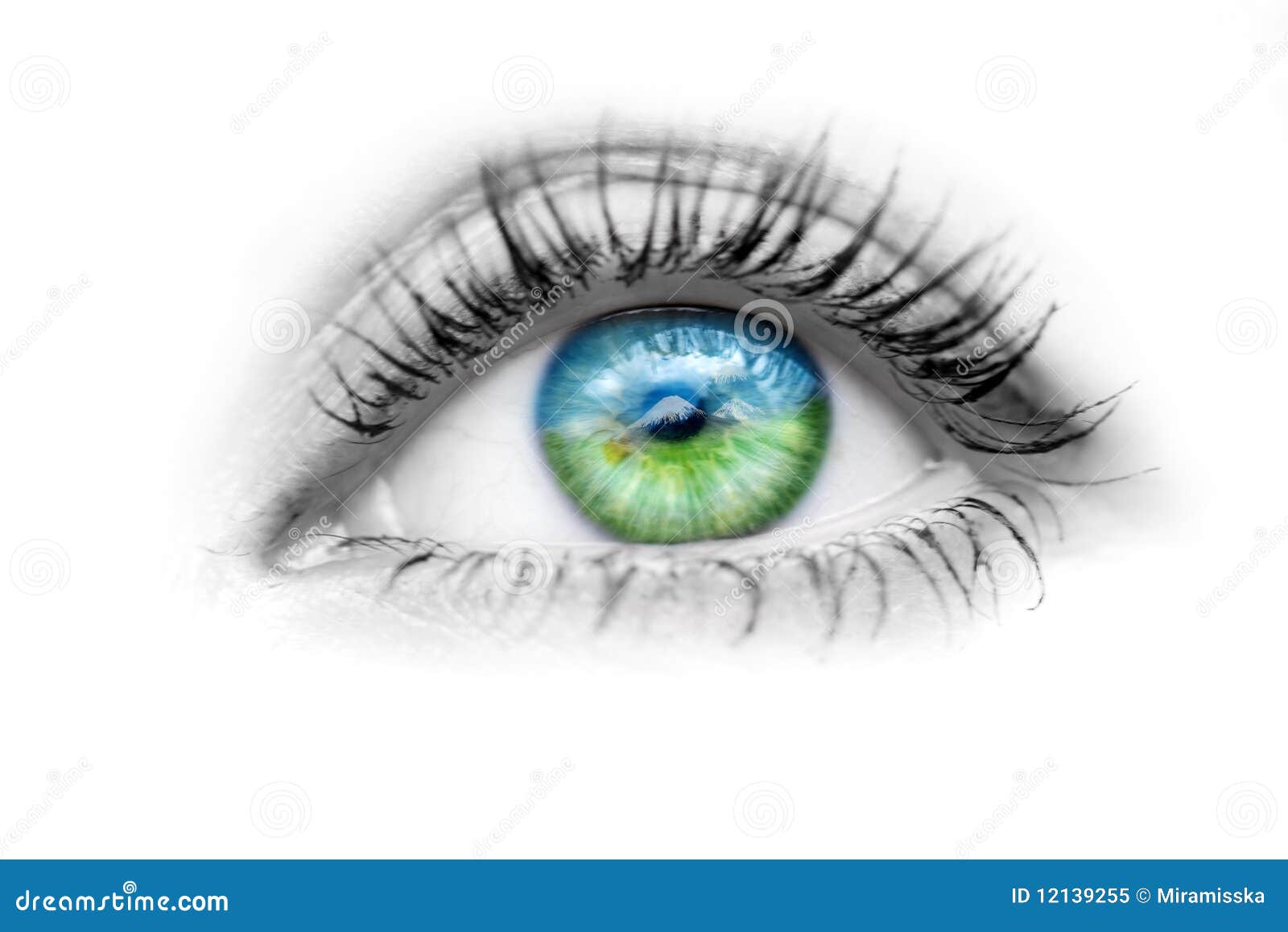 Eye With Nature In The Eyes Stock Image - Image of light, background:  12139255