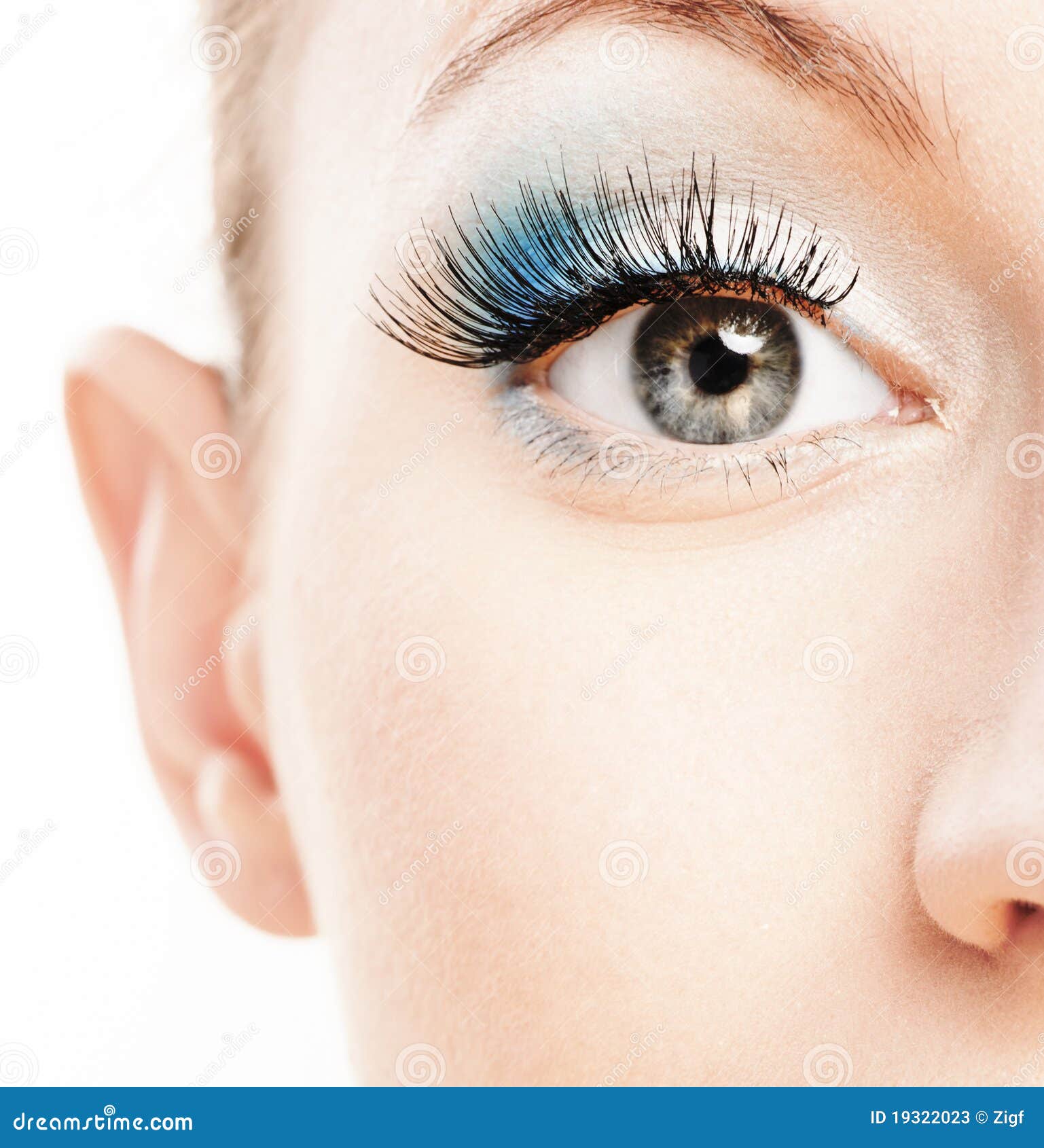Eye and Nose of Beautiful Young Stock Image Image of cosmetics