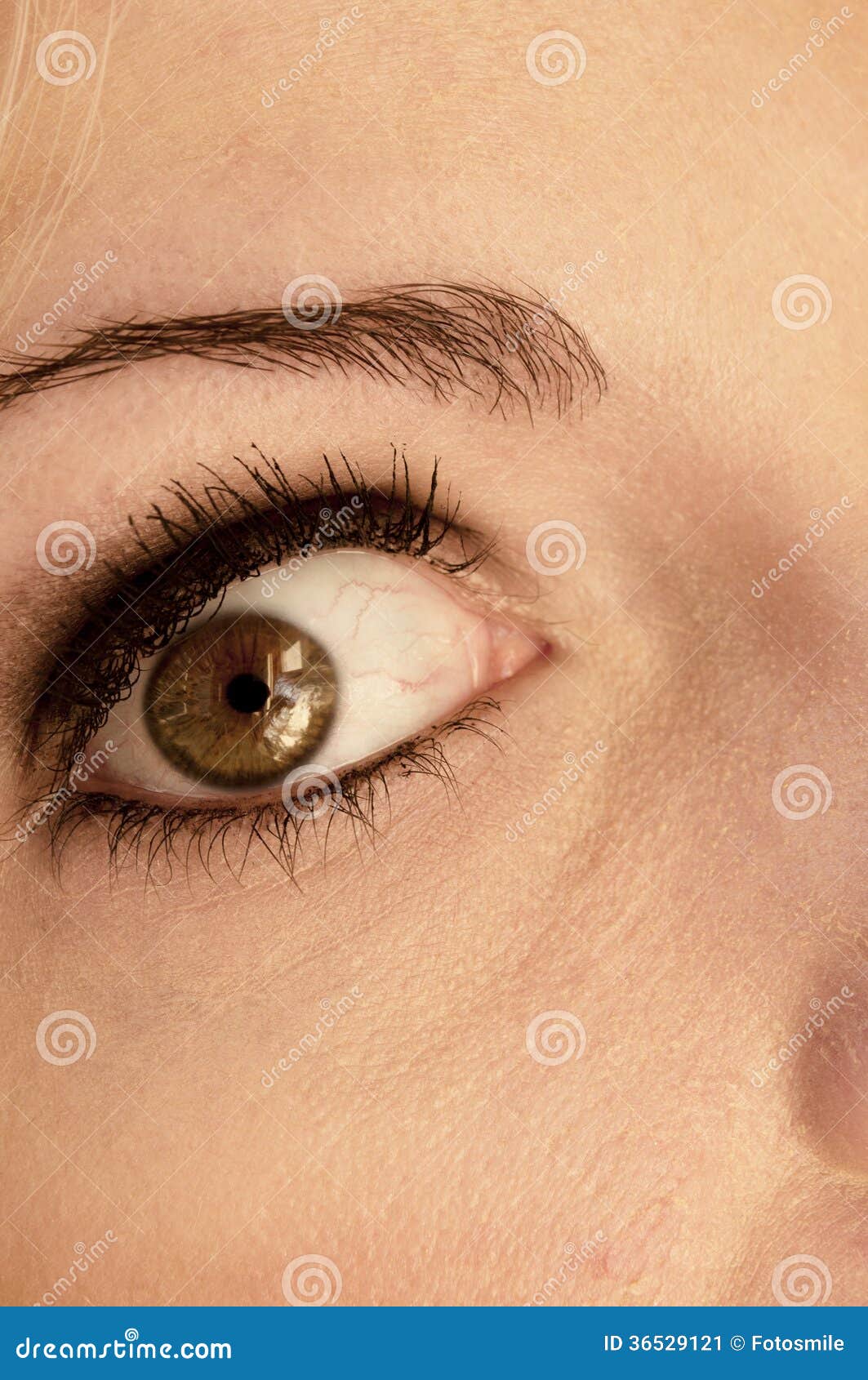 Eye wide open stock image. Image of macro, eyebrow, open 36529121
