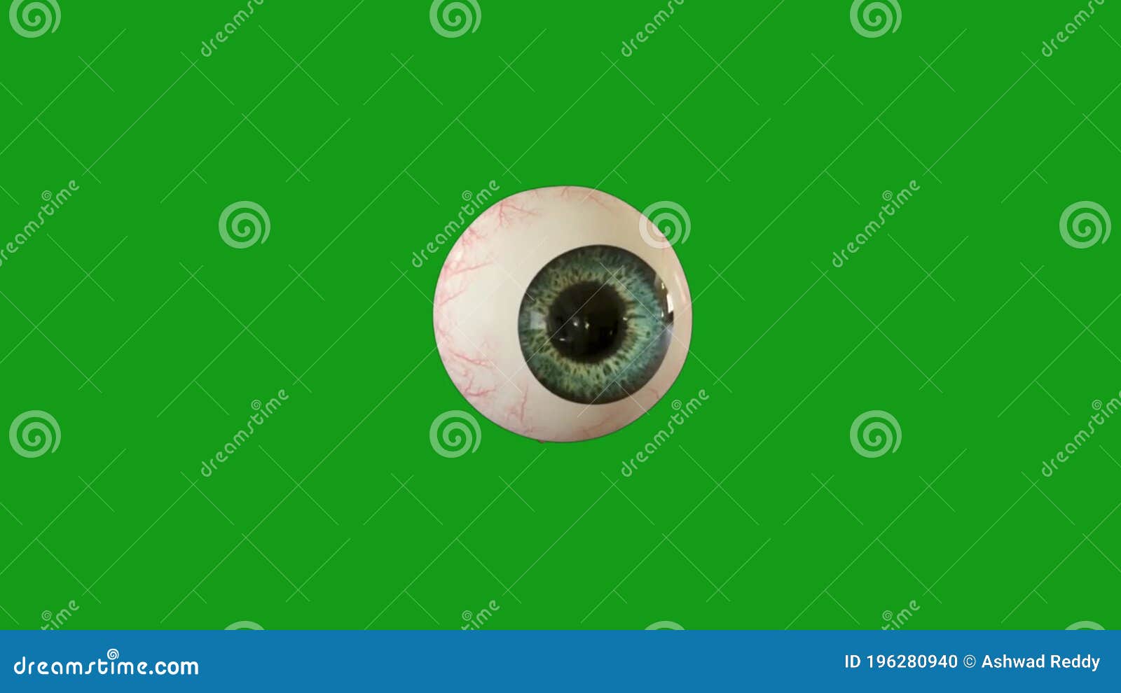 Eyeball Green Screen Motion Graphics Stock Footage Video of technology, chroma 196280940