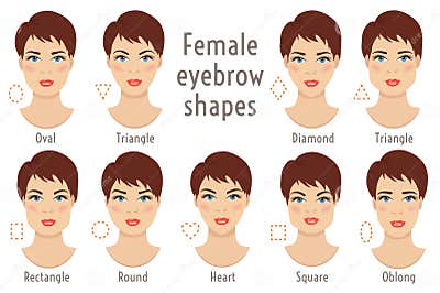 Eyebrow Shapes Suitable To Different Woman Type Face. Vector Ill Stock ...