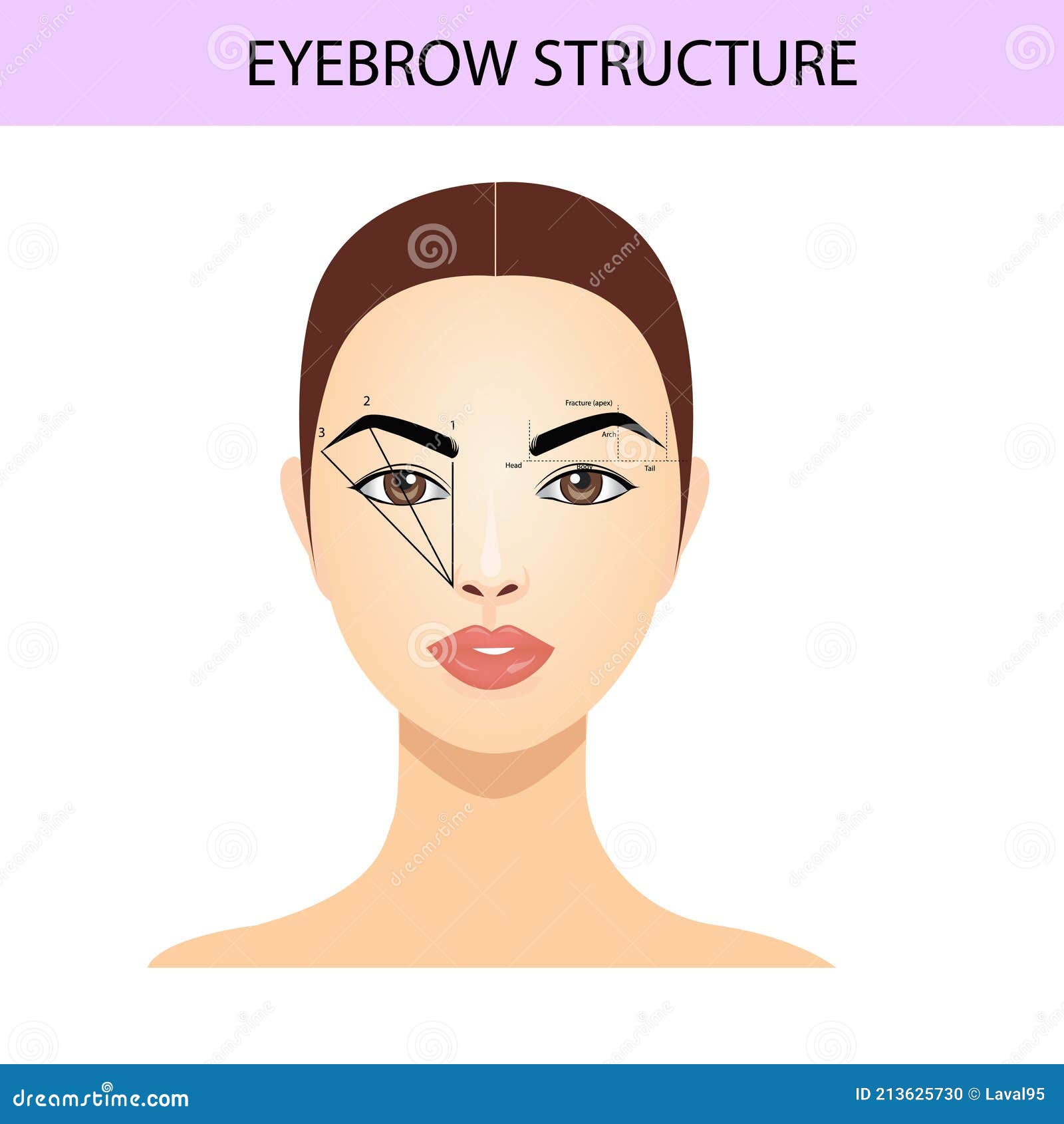 eyebrow shaping tips, brows guide,  , tutorials