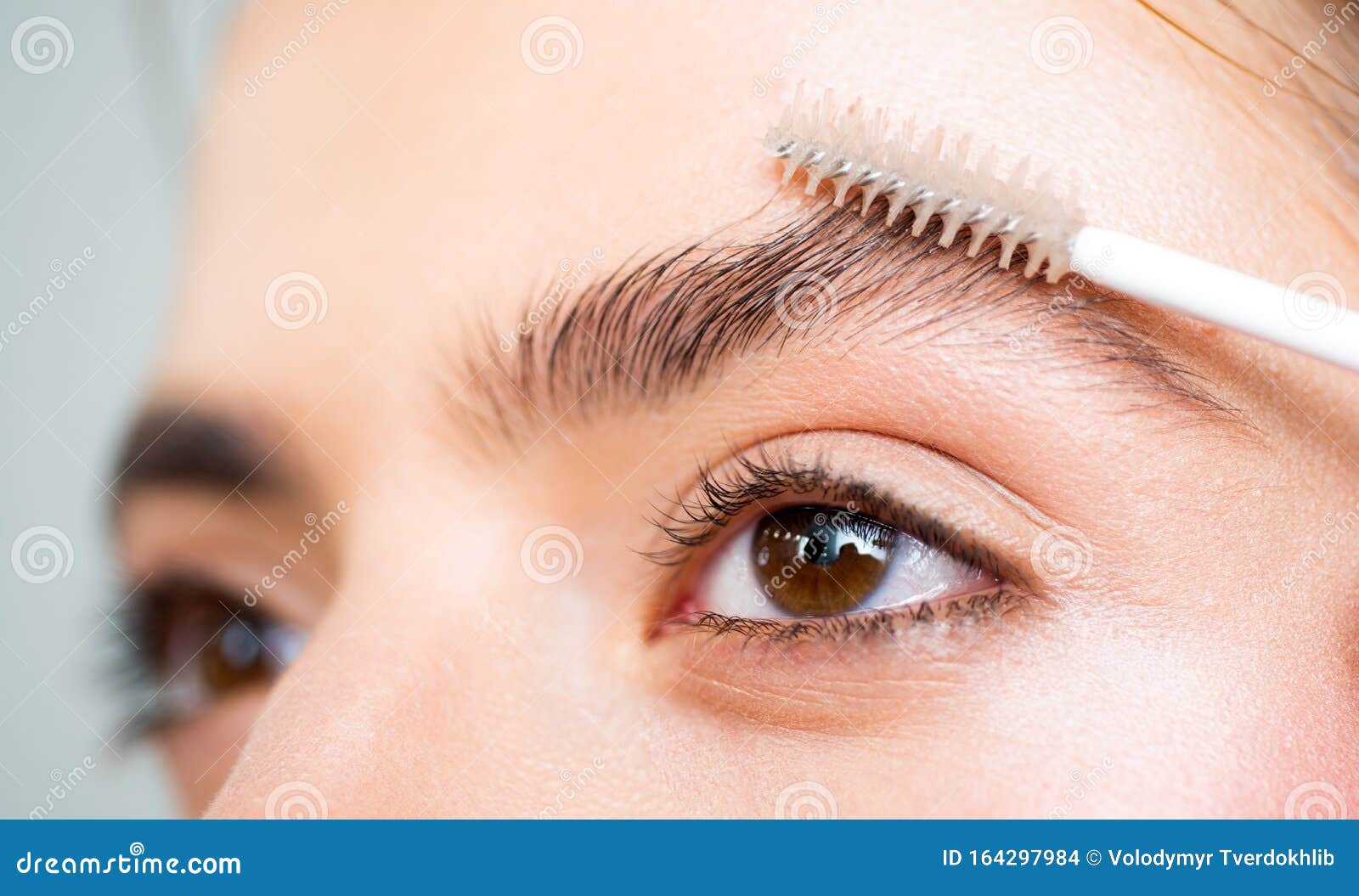 Eyebrows Close Up Beautiful Girl Applies Brow Gel To Her Eyebrow