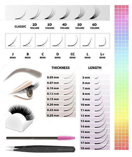 Eyelash Extension, Infographic Table, Vector Illustration Stock Vector ...