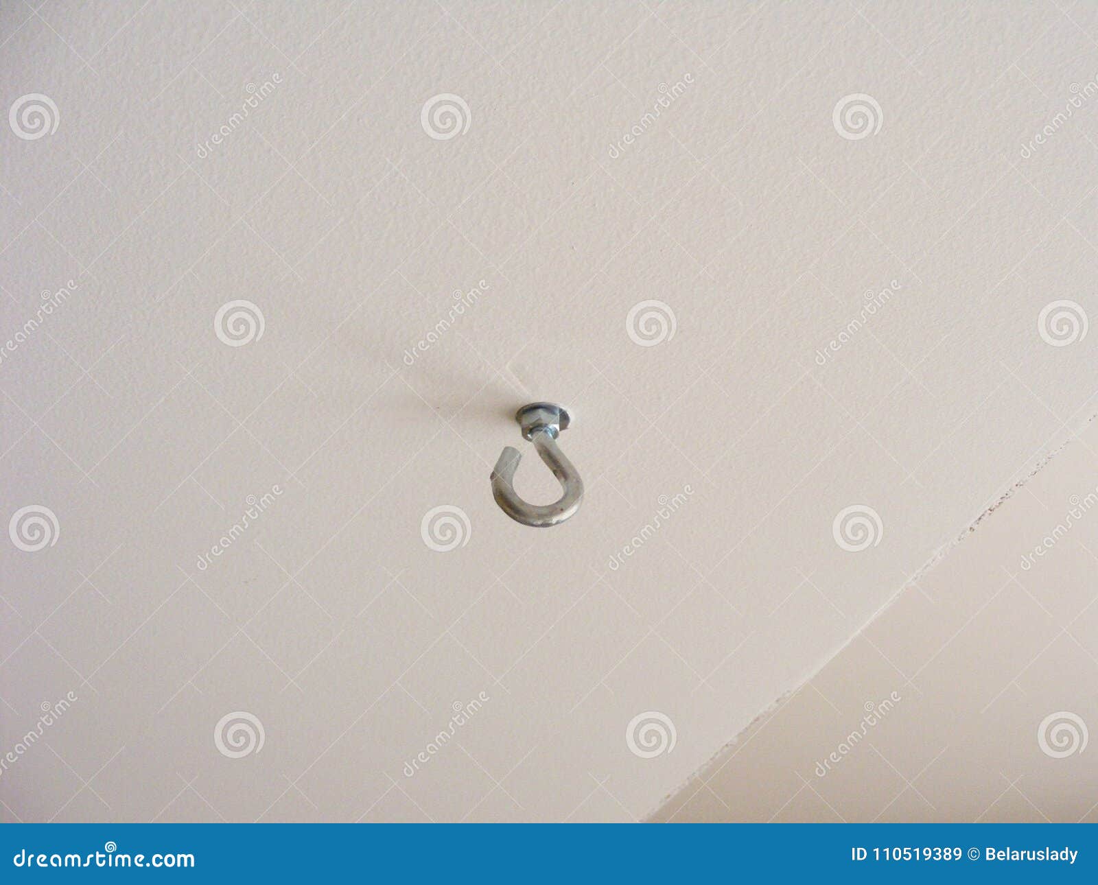 eyelet-screw to fix things at a wall or ceiling, hook on the ceiling