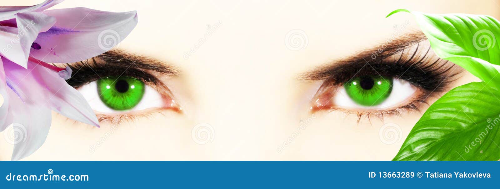 Eyes stock image. Image of model, medical, leaf, inspiring - 13663289