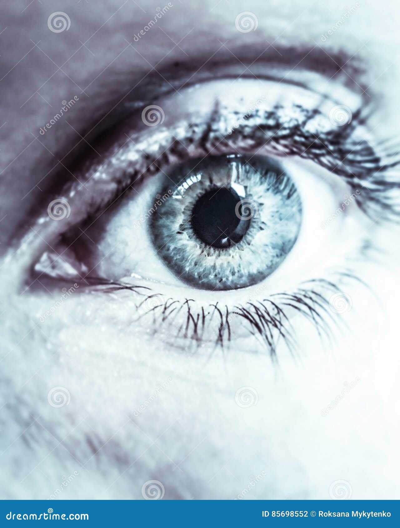 Eyes like a mirror stock photo. Image of happiness, eyeshadow 85698552