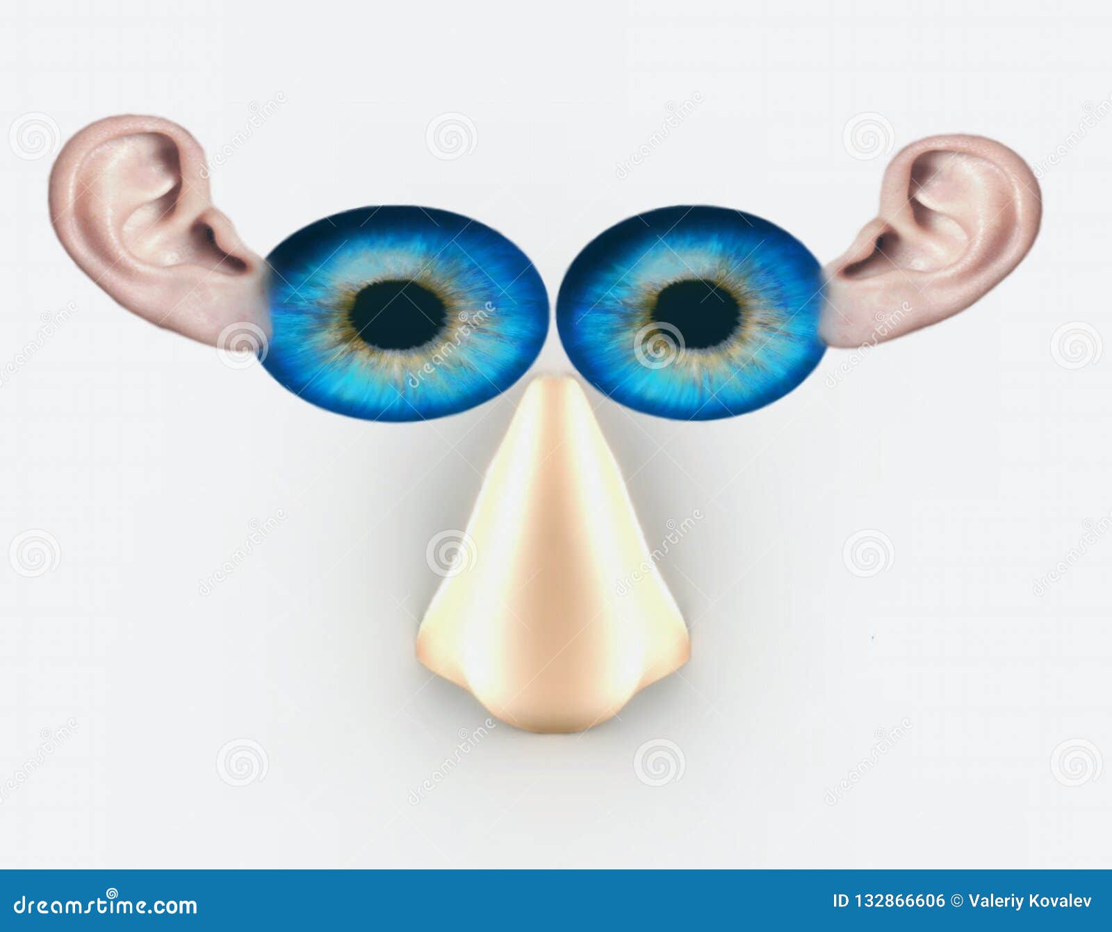 My Image 27